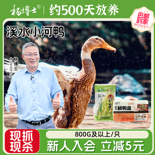 杨博士小河鸭整只新鲜鸭子散养正宗皖南河鸭原粮饲喂炖汤