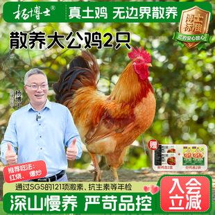 杨博士大公鸡土鸡农家深山散养跑山鸡走地鸡新鲜鸡整只食材