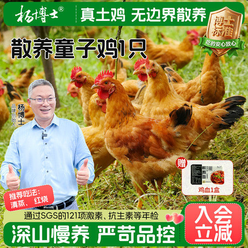 杨博士童子鸡1只送鸡血1盒