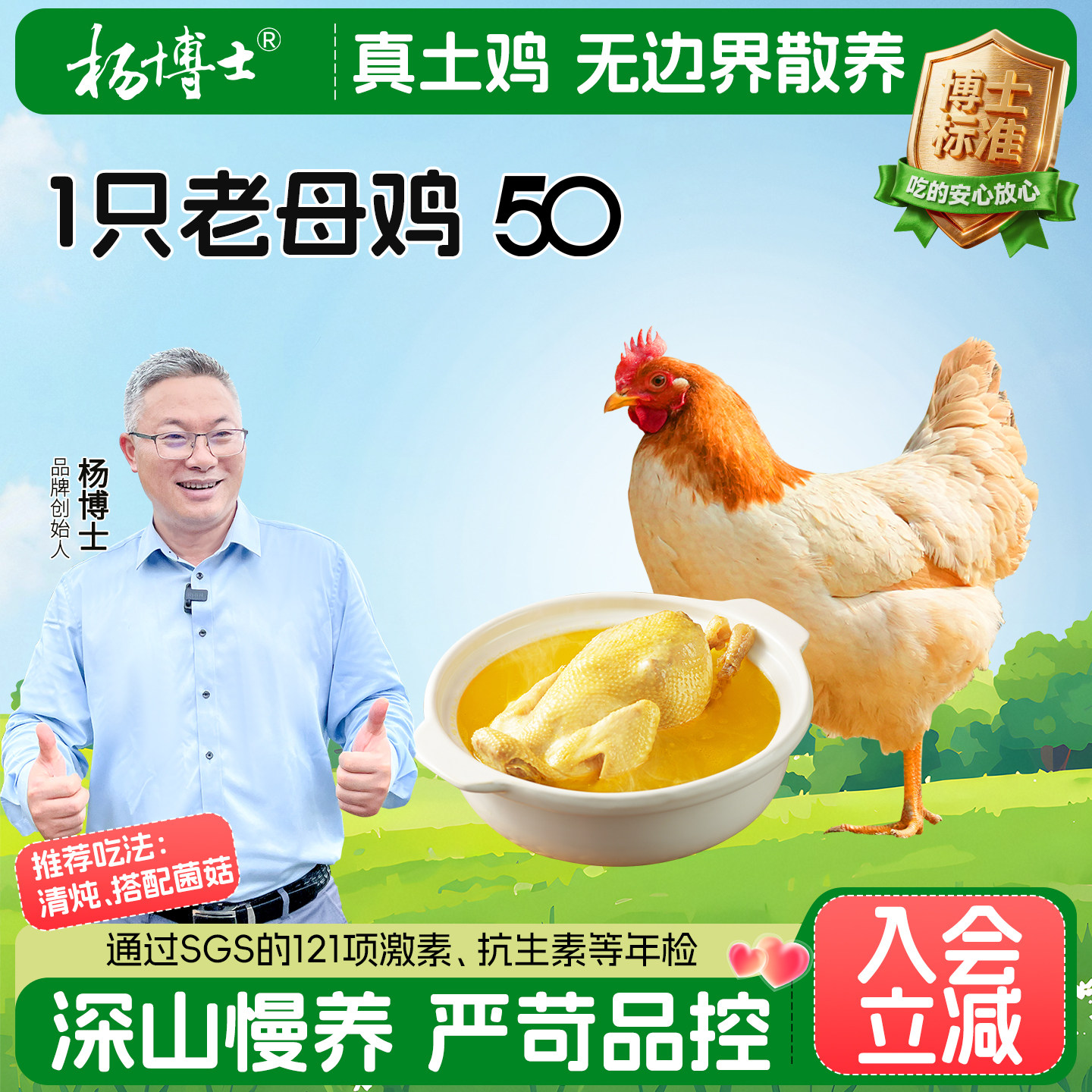 杨博士深山散养老母鸡