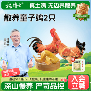 杨博士皖南深山农家散养土鸡童子鸡小公鸡新鲜鸡肉整只散养鸡