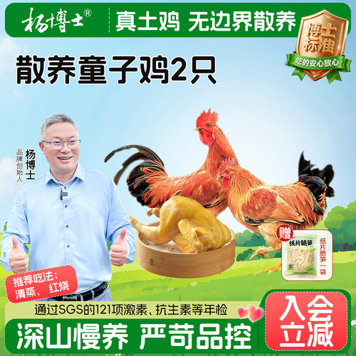 杨博士皖南散养土鸡童子鸡