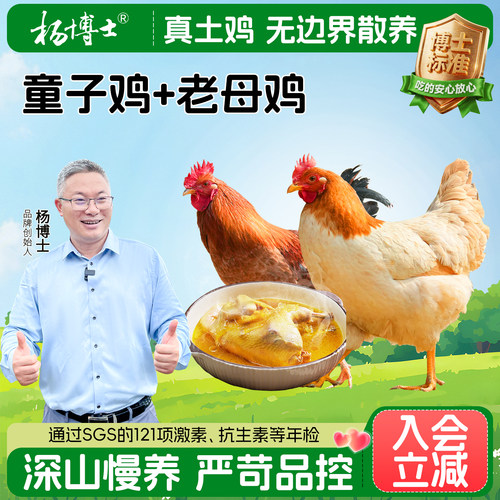 杨博士安徽皖南散养土鸡