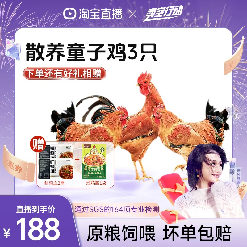 【曹颖甄选】杨博士皖南深山散养童子鸡原粮饲喂土鸡走地鸡生鲜鸡