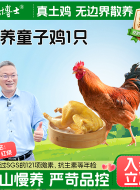 杨博士农家散养土鸡正宗童子鸡走地鸡鸡整只新鲜小公鸡清蒸食材