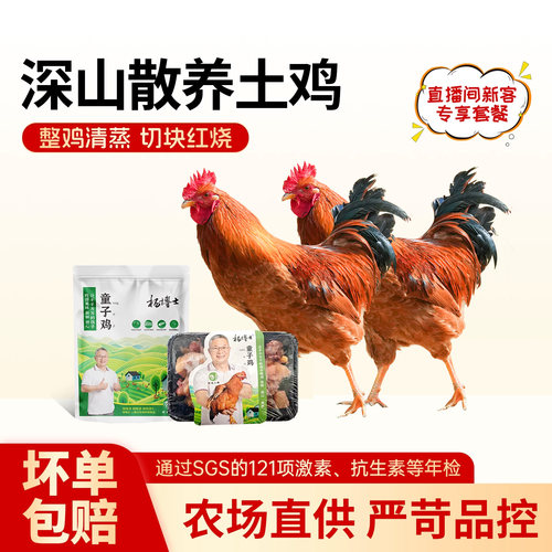 杨博士皖南深山散养童子鸡