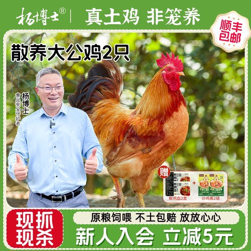 杨博士大公鸡土鸡农家深山散养跑山走地鸡新鲜现杀鸡整只