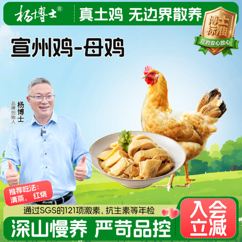 杨博士安徽皖南母鸡深山散养