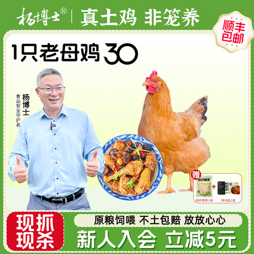 皖南土鸡杨博士深山散养