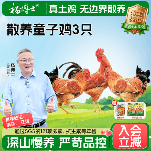 杨博士皖南深山散养童子鸡