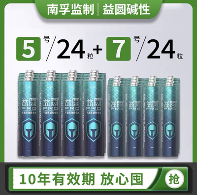 南孚益圆碱性电池一元起拍