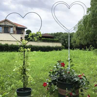 绿萝山乌龟铁线莲心形棒棒糖花架爬藤架子植物攀爬支架支撑杆铁艺