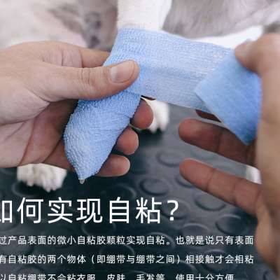 宠物自粘绷带出门外出防脏爪子防磨狗狗受伤包扎防护专用弹力绑带