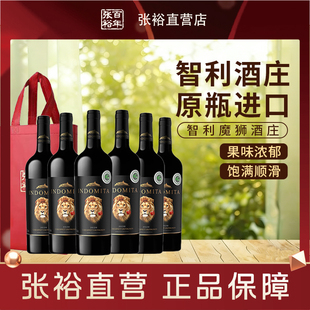 张裕智利魔师酒庄正牌原瓶进口赤霞珠干红葡萄酒750ml*6