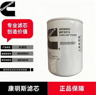 3305371 BW5076 1214922H1 3318319 康明斯4058965水滤芯WF2076