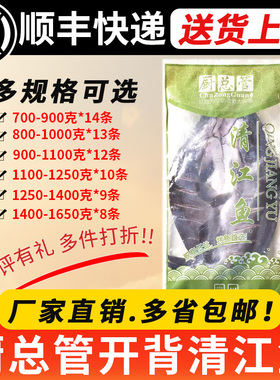 厨总管腌制清江鱼900-1100g冰鲜烤鱼半成品冷冻开背鱼黑鮰鱼冻品