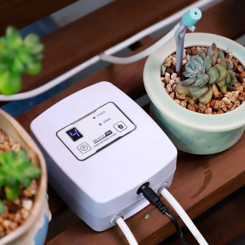 自动浇花器阳台多肉滴灌可调滴箭植物花盆养花远程定时无线浇水,鲜花速递/花卉仿真/绿植园艺,自动灌溉设备,淘宝优惠券,粉丝福利购,淘宝优惠卷