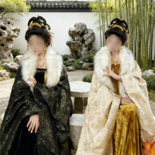 唐制丝绒齐胸破裙大袖法门寺冬季织金大唐贵女汉服唐贵妃装山海记