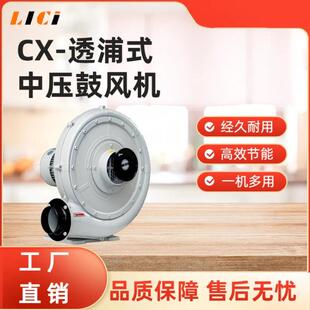 Cx中压鼓风机除尘气体颗粒输送机无尘进料激光配套锅炉燃烧管道送