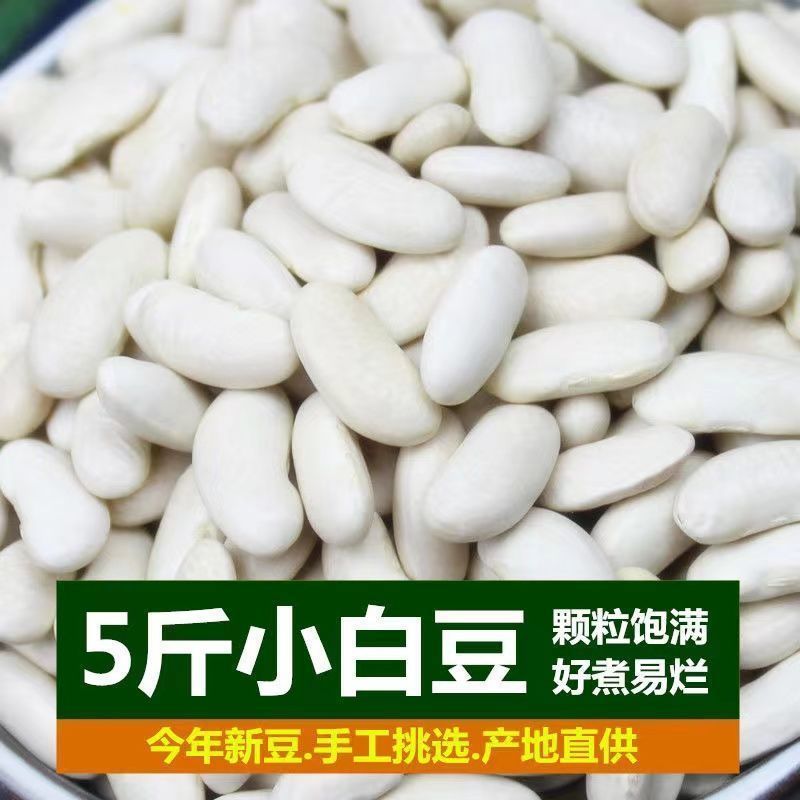 白腰豆白豆云南农家自种小 豆米煲汤打豆浆煲汤炖肉粗粮