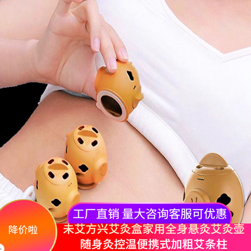 未艾方兴艾灸盒家用全身悬灸艾灸壶随身灸控温便携式加粗艾条柱