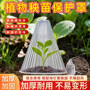 植物秧苗育苗保护罩塑料防鸟防风罩加厚庭院种植幼苗防护大号防寒
