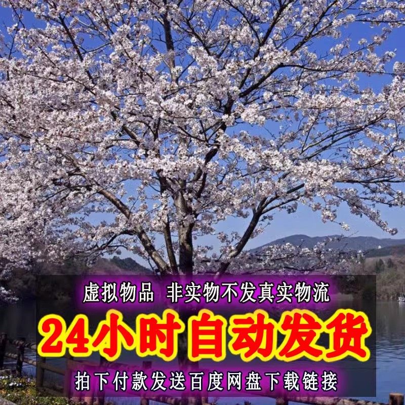 这是一家感情店一分钱素材1