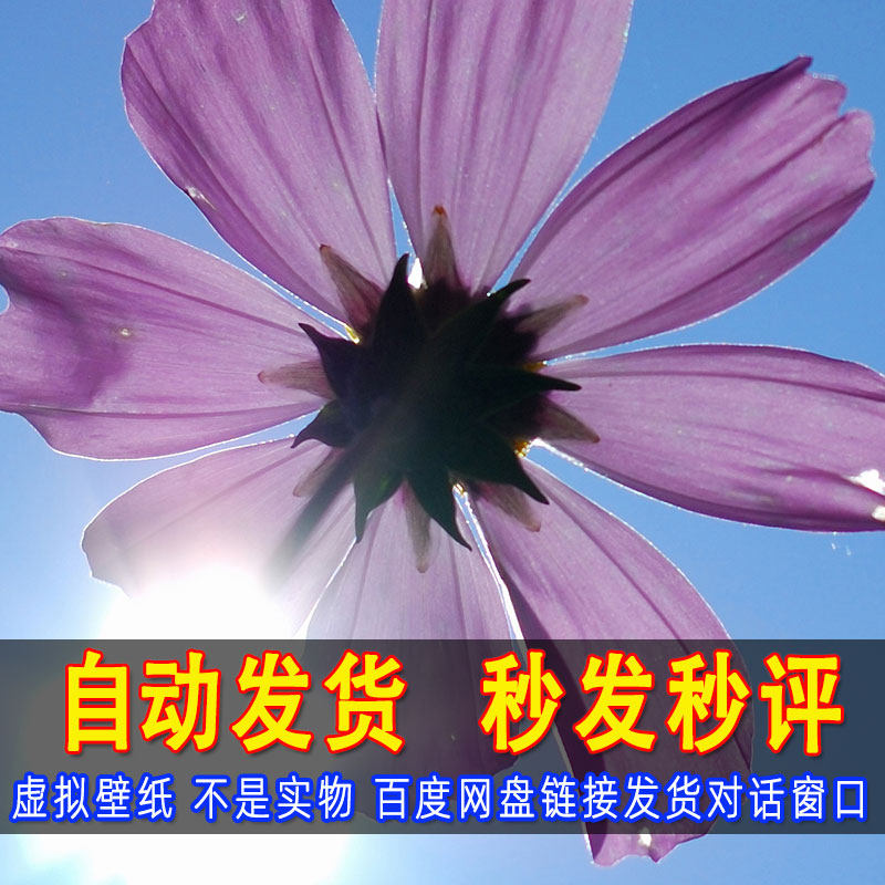 这是一家感情店一分钱素材1