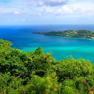 这是一家感情店素材12345