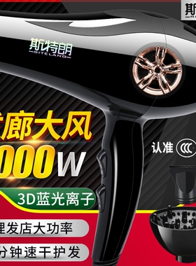 德国斯特朗理发店发廊大功率速干
