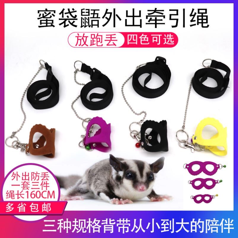 蜜袋鼯外出绳子松鼠牵引绳