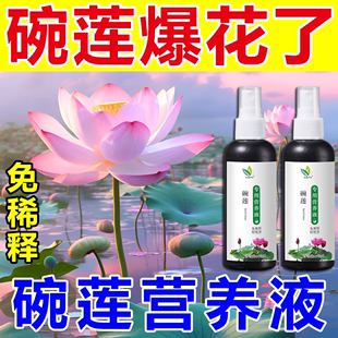 碗莲专用营养液睡莲肥料通用水溶肥水培种子发芽生根促开花防黄叶