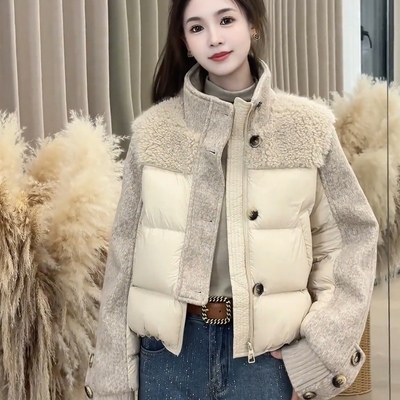 韩系立领羊羔毛拼接羽绒服女冬季