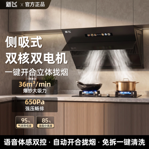 新飞家用侧吸式油烟机