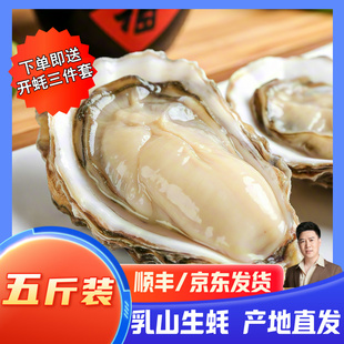 小文哥乳山生蚝贝类海鲜活牡蛎海蛎子烧烤特大肥整箱5斤威海水产
