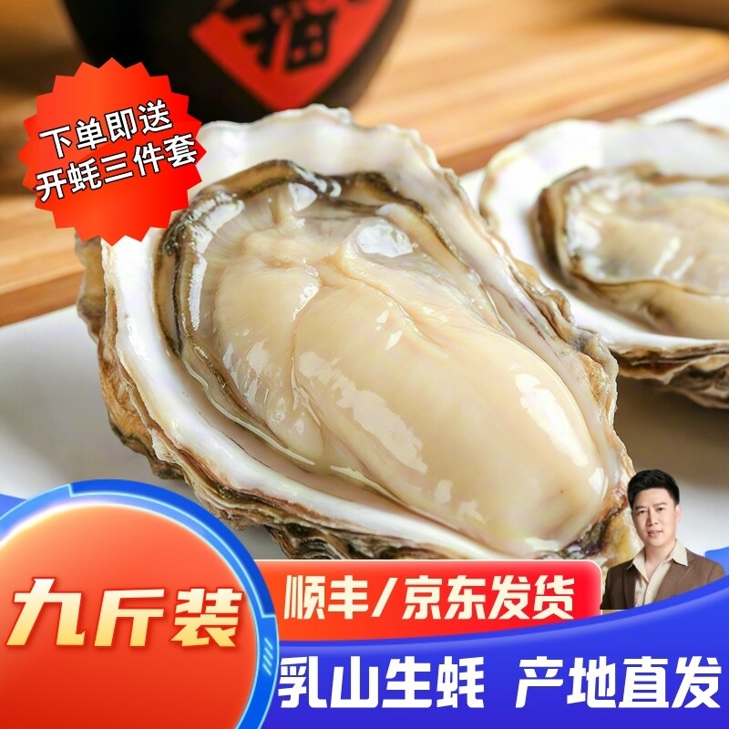 小文哥乳山生蚝贝类海鲜活牡蛎海蛎子烧烤特大肥整箱9斤威海水产