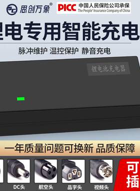 锂电池电动车充电器48V2A36V60V24V72伏54.6锂离子哈雷平衡代驾车