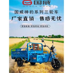 国威电动三轮车厂家直销大功率电瓶车拉货家用接送孩子带棚载重王