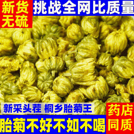 特级胎菊王无硫菊花茶500g正宗正品非金丝皇菊黄山贡菊杭白菊药材