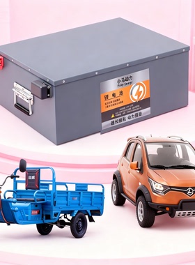 三四轮车锂电池48v60v伏电动车低速四轮车72v100ah120安电瓶