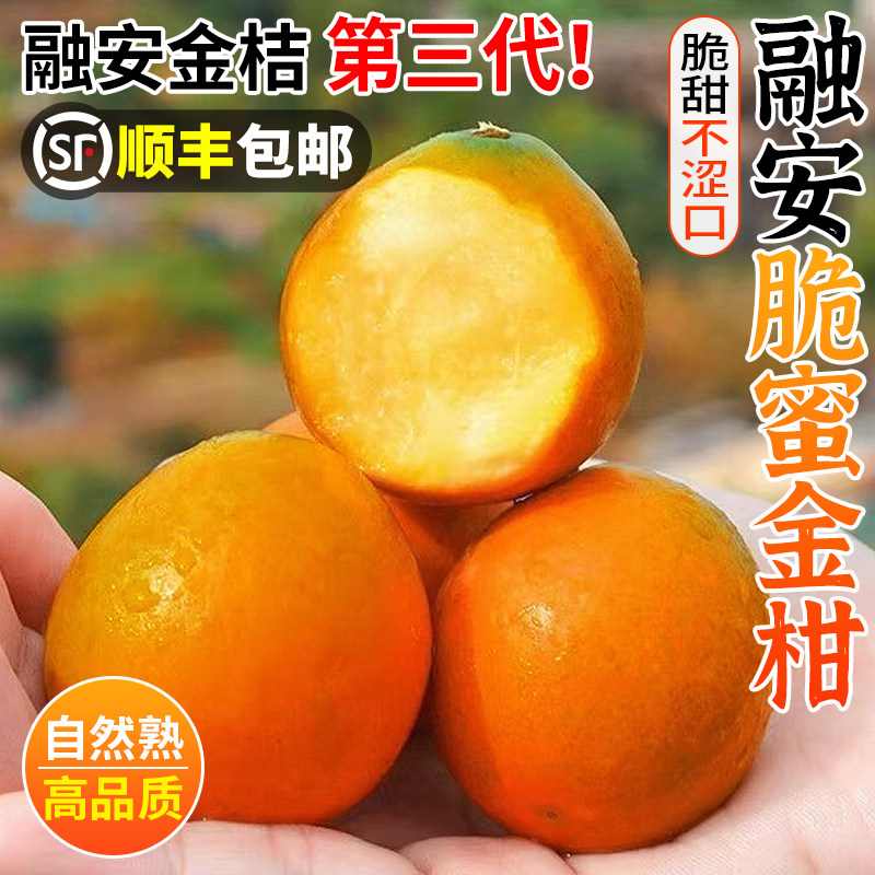 广西融安脆皮金桔精选金桔10斤新鲜桔子当季现摘水果蜜金柑桔整箱