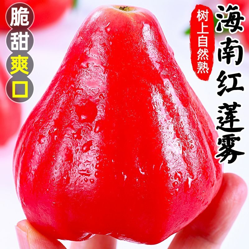 海南莲雾黑珍珠莲雾果仙女补水清甜雾莲果红宝石莲雾黑精刚莲雾果