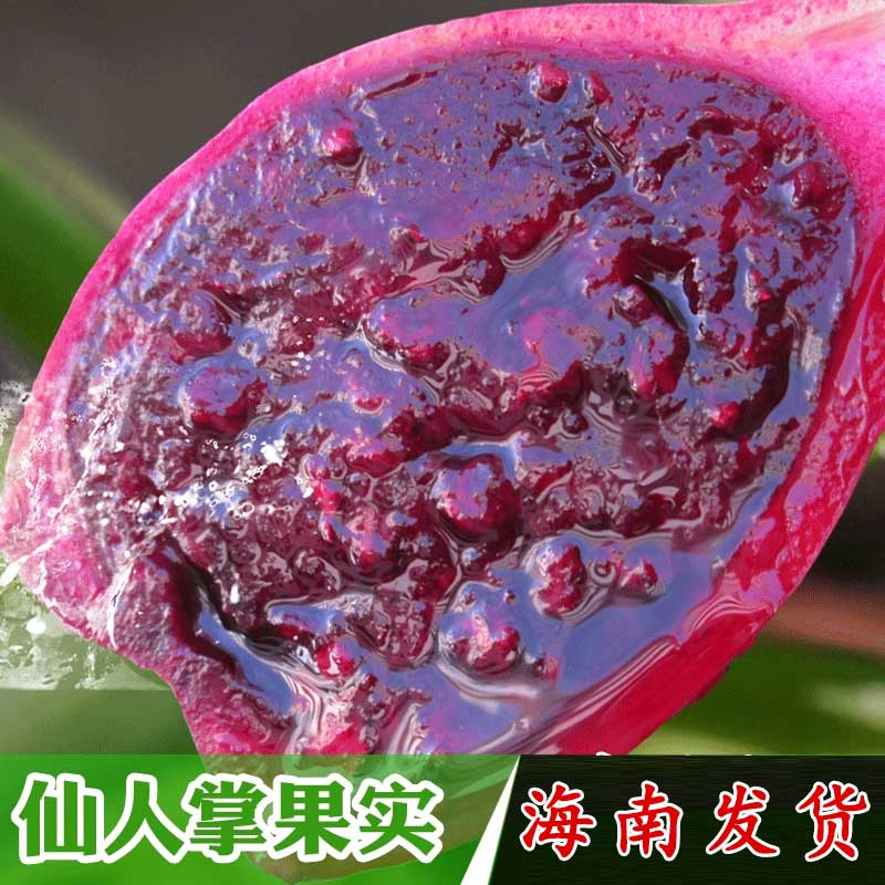 海南仙人掌果新鲜5斤仙人果花青素水果青皮仙人掌果三亚特产水果