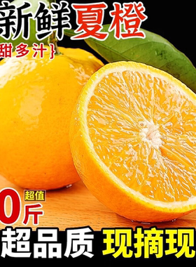 秭归夏橙脐橙新鲜橙子大果现摘晚伦橙宜昌高山广西手剥脐橙水果橙