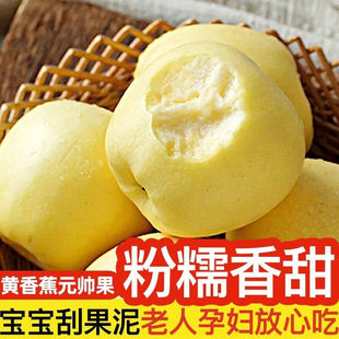 正宗黄元帅苹果新鲜孕妇宝宝老人辅食水果黄金帅金冠粉面沙黄苹果