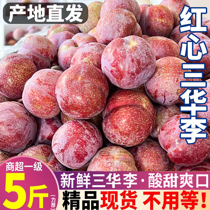 正宗脆红李子新鲜三华李子茵红李红皮李孕妇水果脆甜高蜂糖甜李子