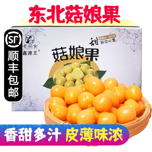 东北姑娘果新鲜甜菇娘果大果黄洋菇娘灯笼果黄心果3/5斤非顺丰发