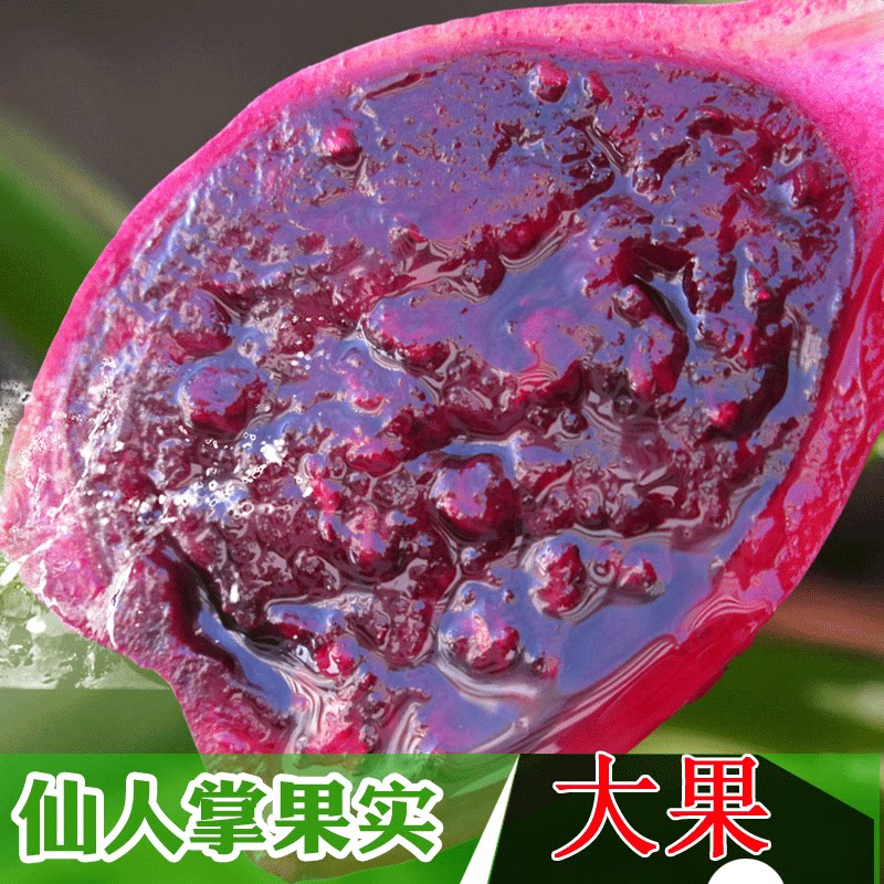 海南仙人掌果新鲜5斤仙人果补花青素孕妇水果青皮大果特产仙人掌