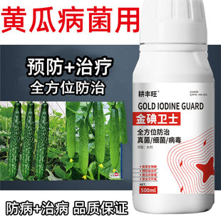 黄瓜一喷净黄瓜病全治霜霉褐斑叶枯炭疽疫病靶斑病黄瓜病害专用药