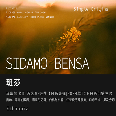 西达摩Sidamo班莎日晒处理咖啡豆